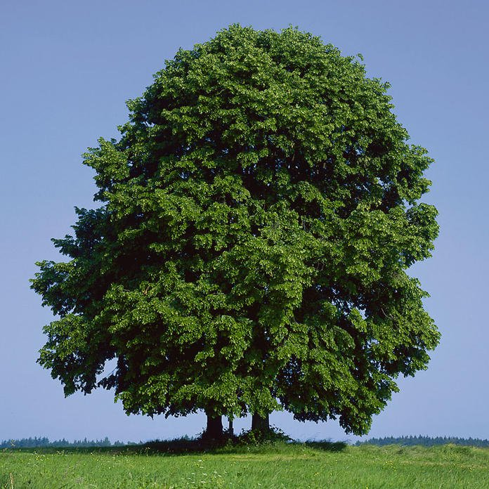 1588167653097.png