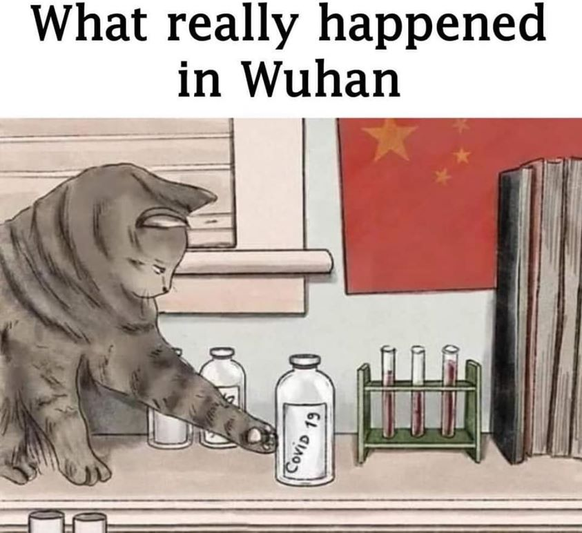1589787745925.png