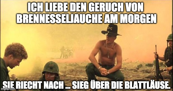 1590505276021.png