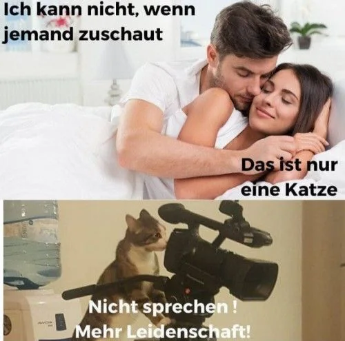 1593422776376.png