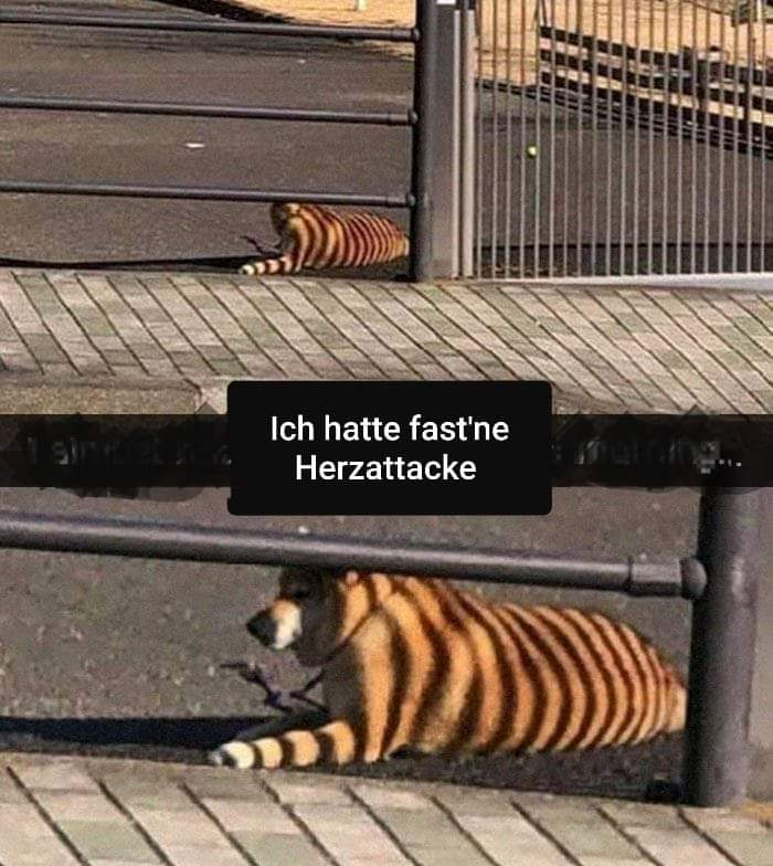 1593704357906.png