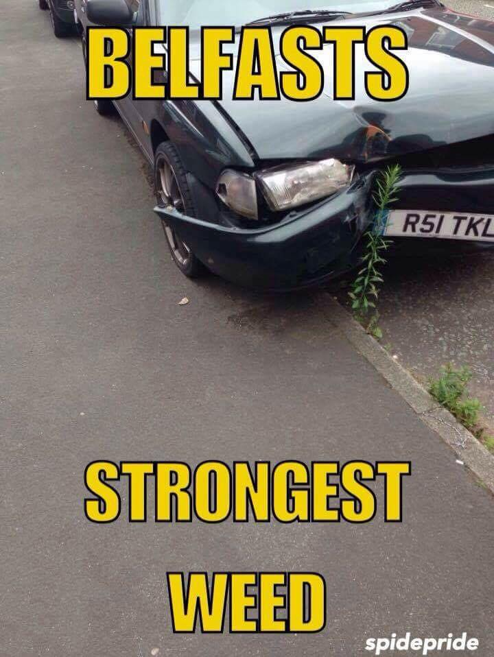 1593771321548.png