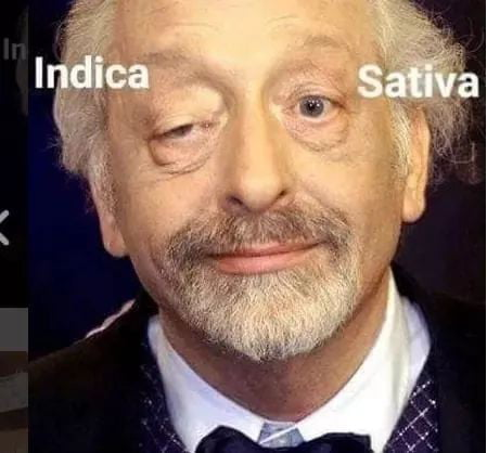 1596395908152.png