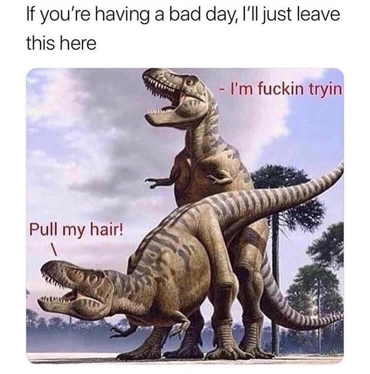 1600844179787.png