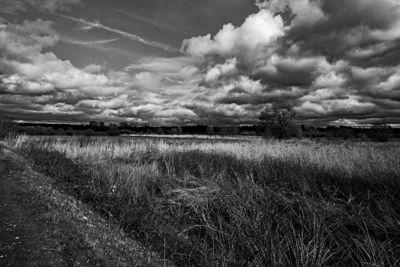 16032019 153_BW_PS.jpg