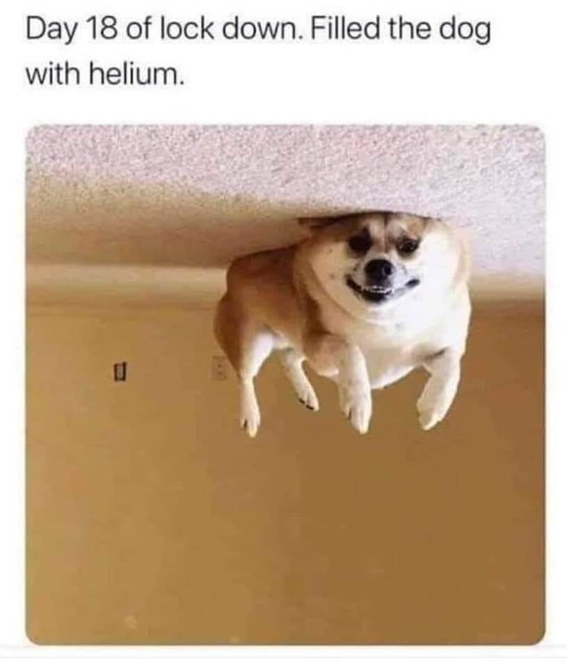 1606472934371.png