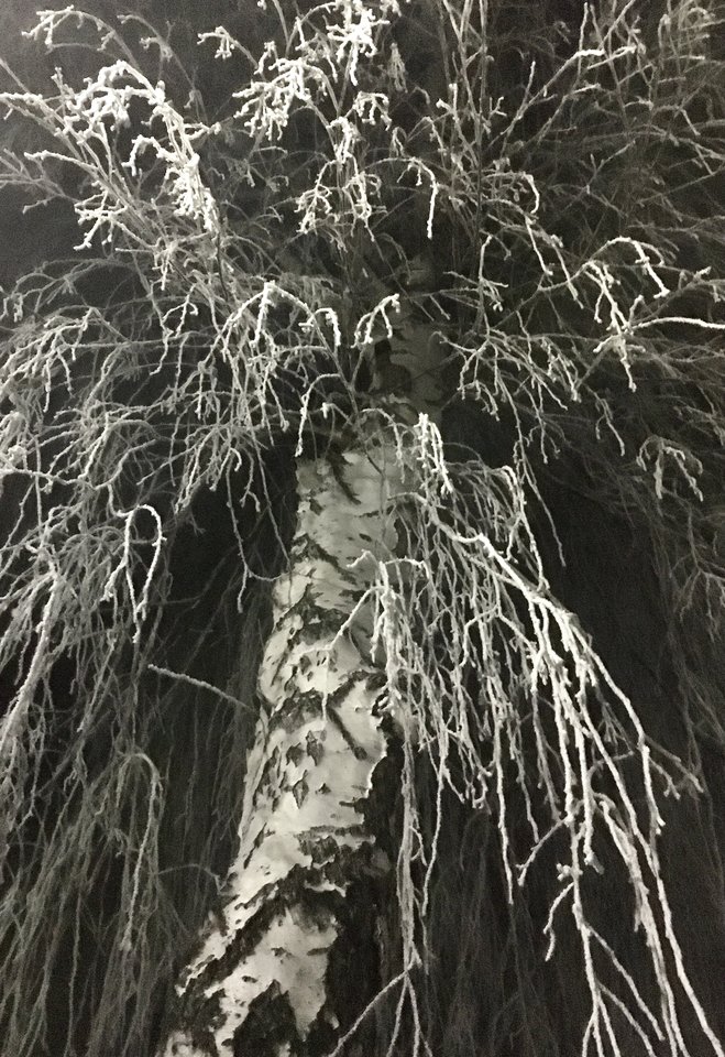1610898195938.jpeg