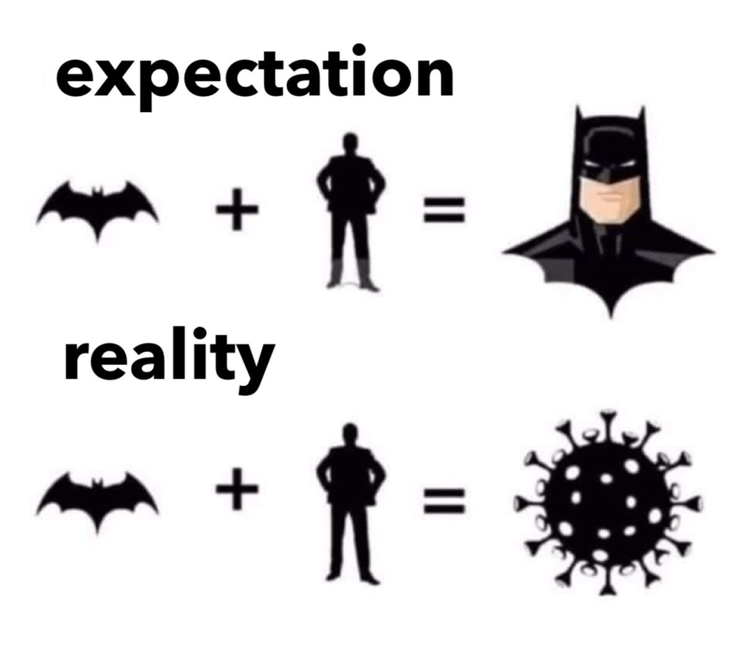 1618235036455.png