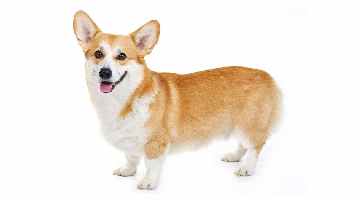 1620367415199.png