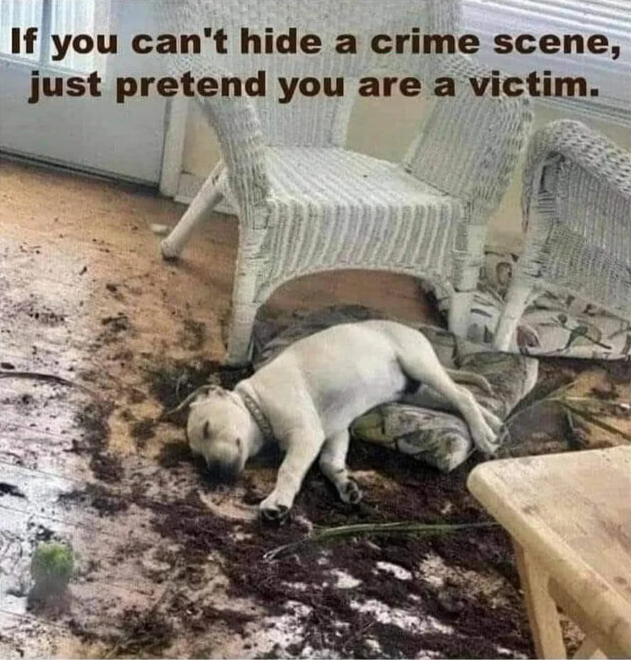 1620597527877.png