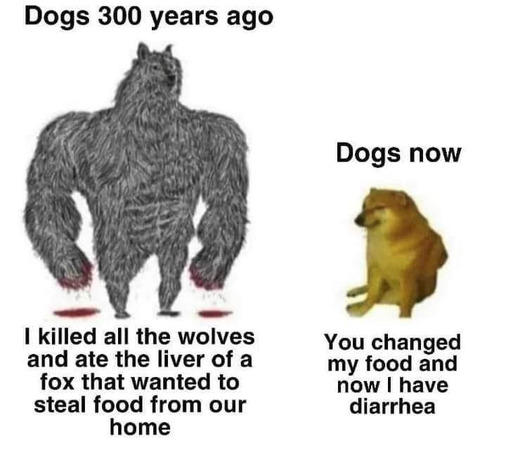 1623583410333.png