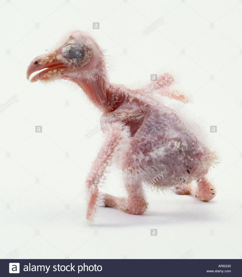 1627024383832.png