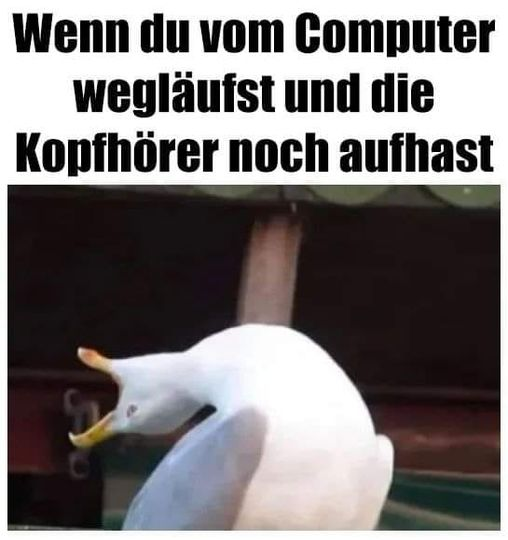 1627456181228.png