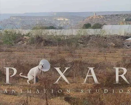 1631691345411.png