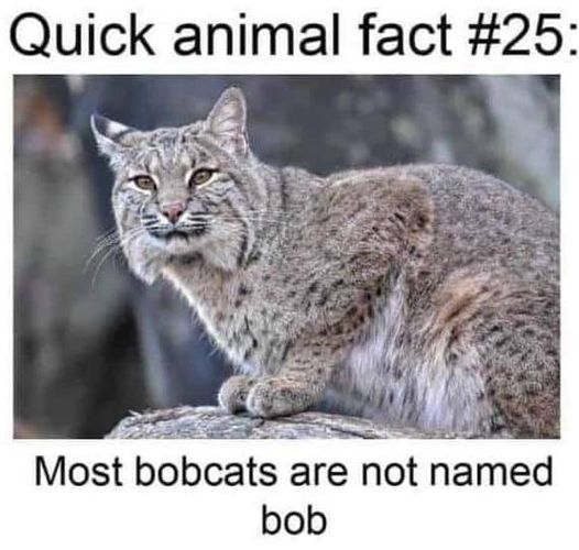 1631774299428.png