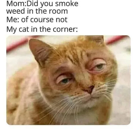 1632745834233.png