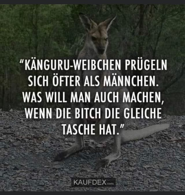 1632745873667.png