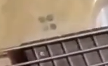 1635067015481.png