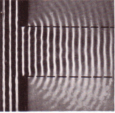 1639088138129.gif
