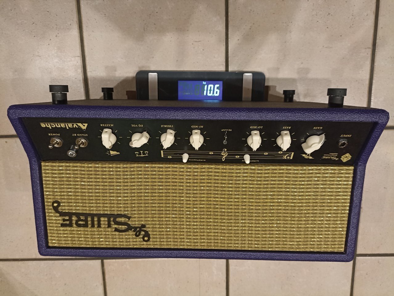 1651072931853.jpg