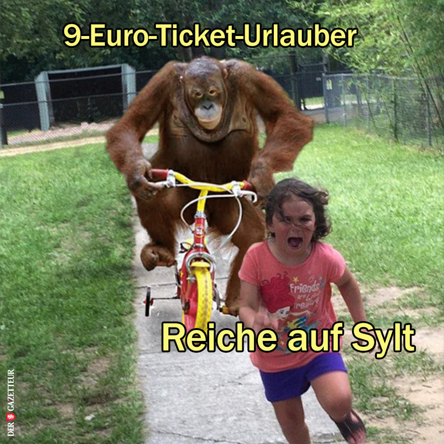 1651863045584.png