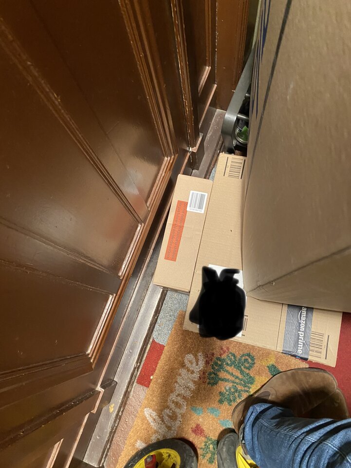 1670083004019.jpeg