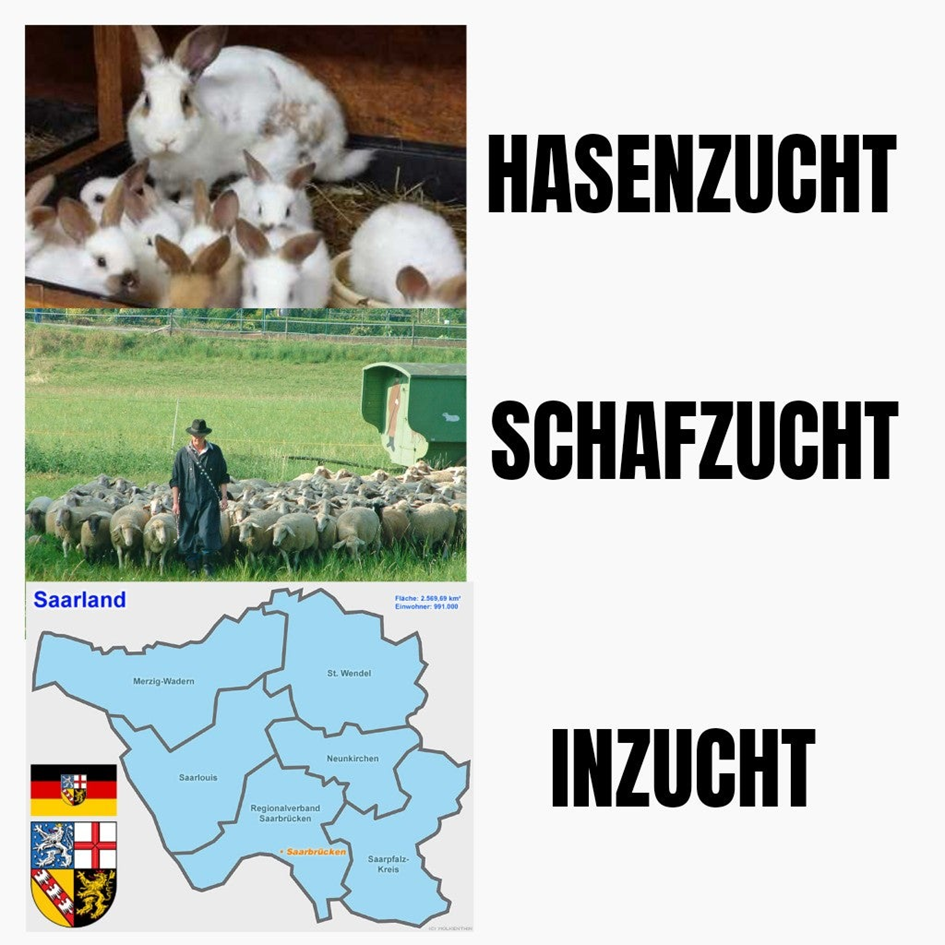 1679174606132.png