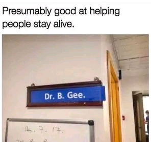1683268399753.jpg