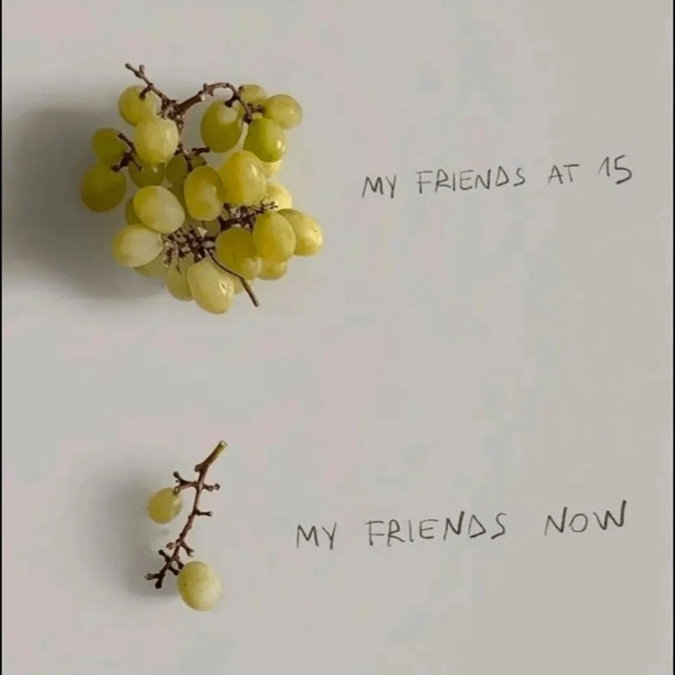 1698073248167.png