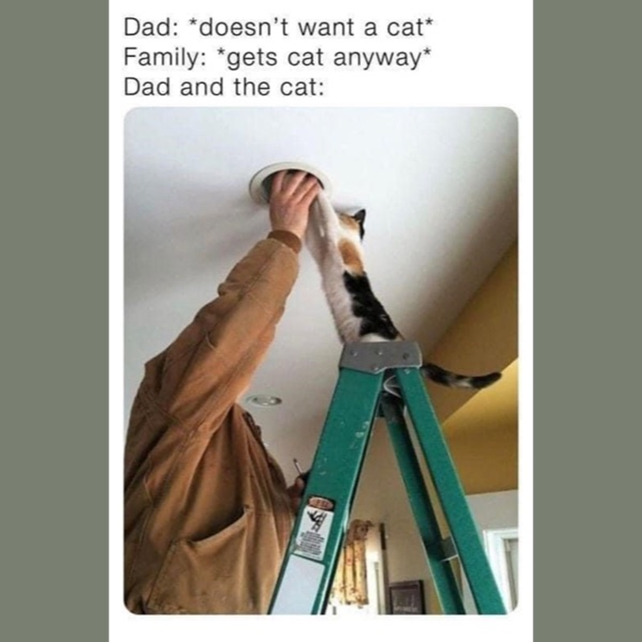 1698073429225.png