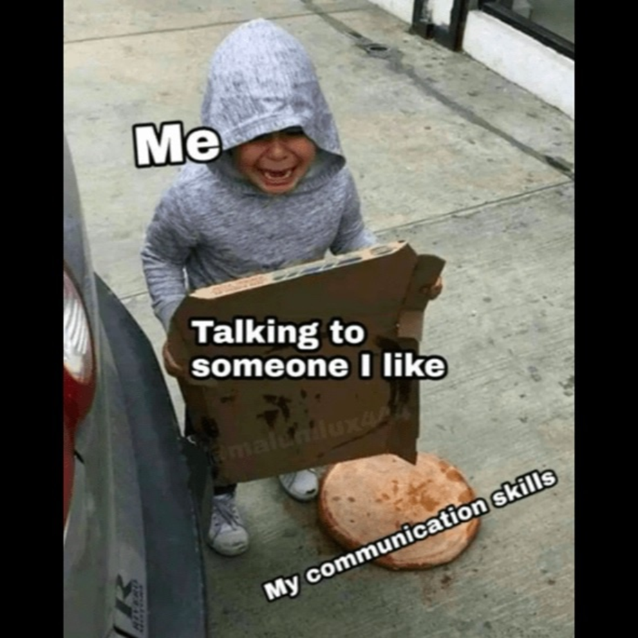 1698073533376.png