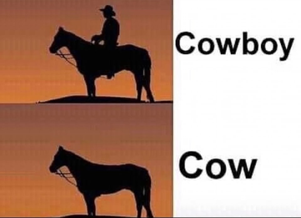 1698076231972.png