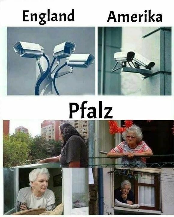 1698725679808.jpeg