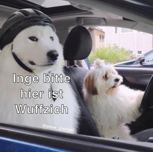 1699647267859.png