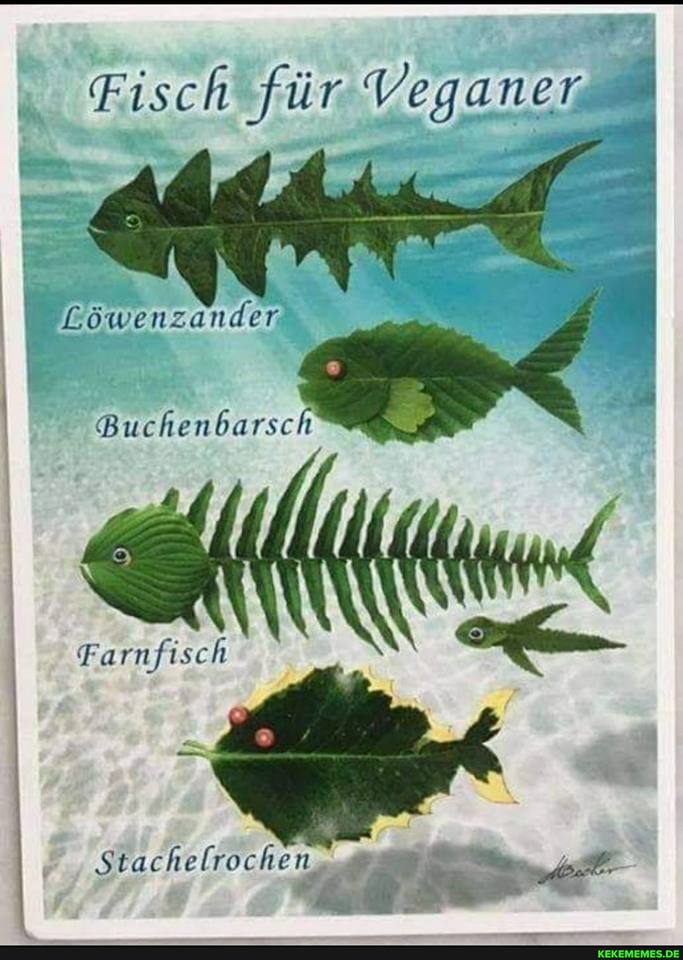 1700830346559.png
