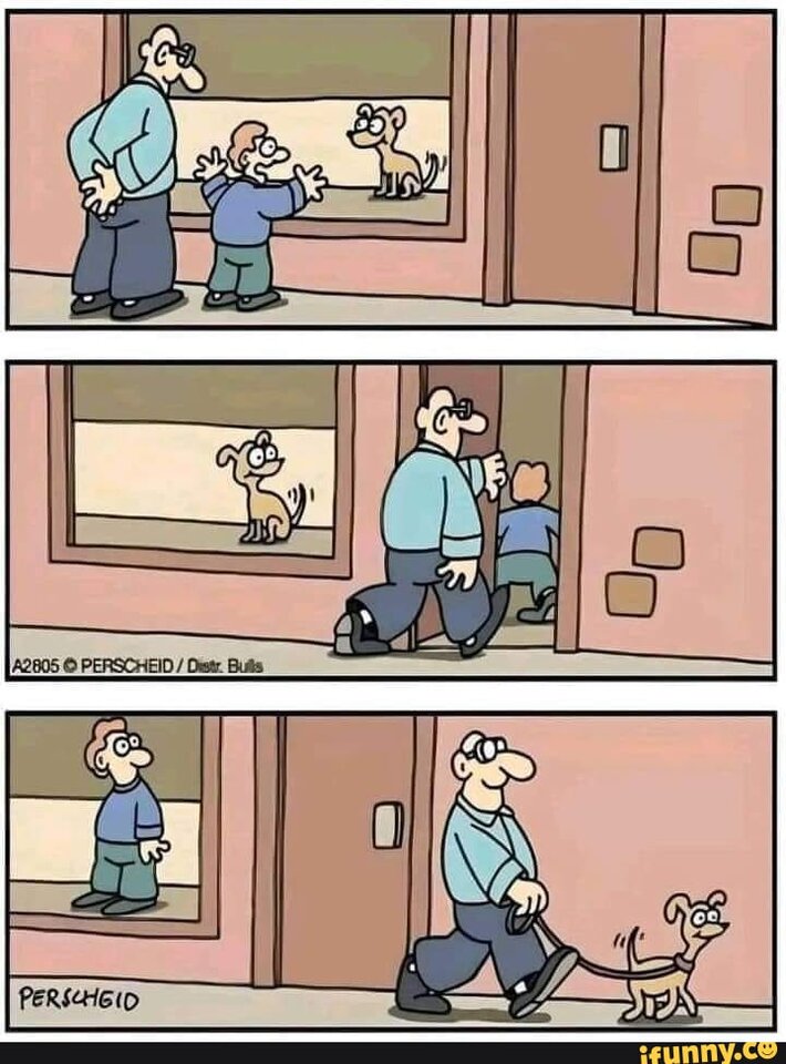 1703544804425.jpeg