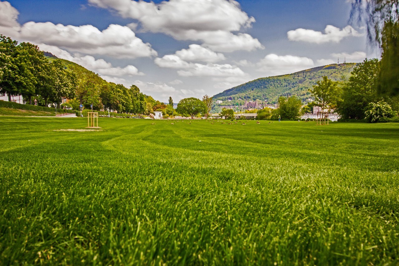 17052019_03.jpg