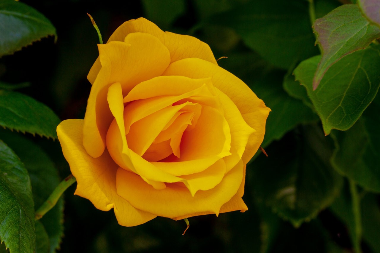 17052019_08.jpg
