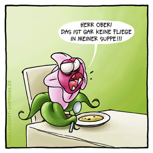 1707141927273.png