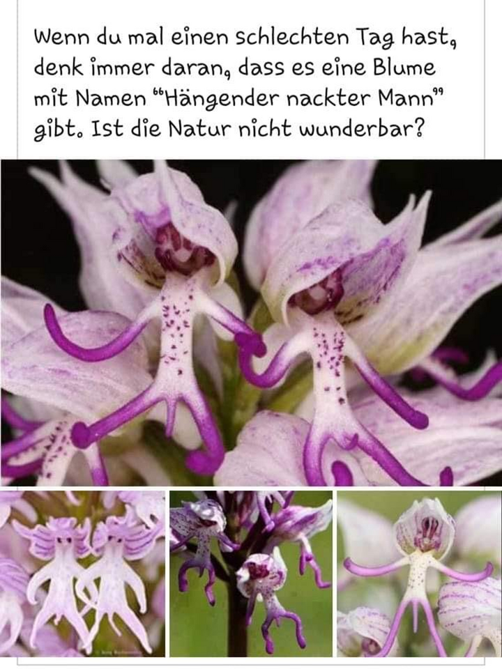 1713389679944.png