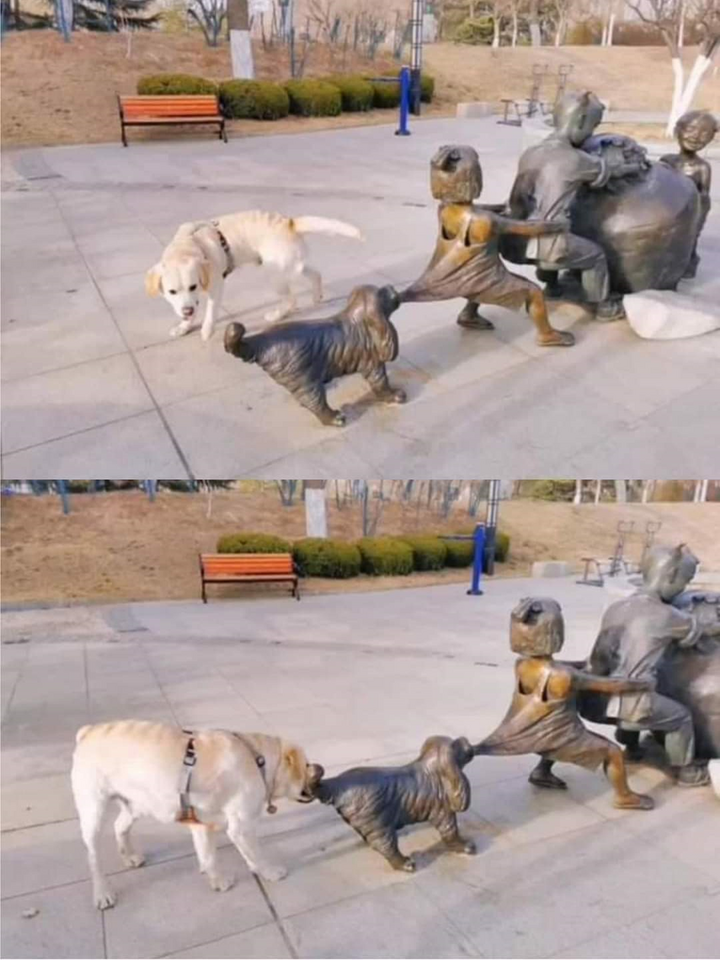 1713395440107.png