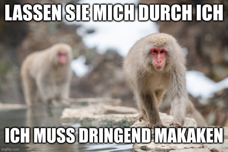 1715466983752.png