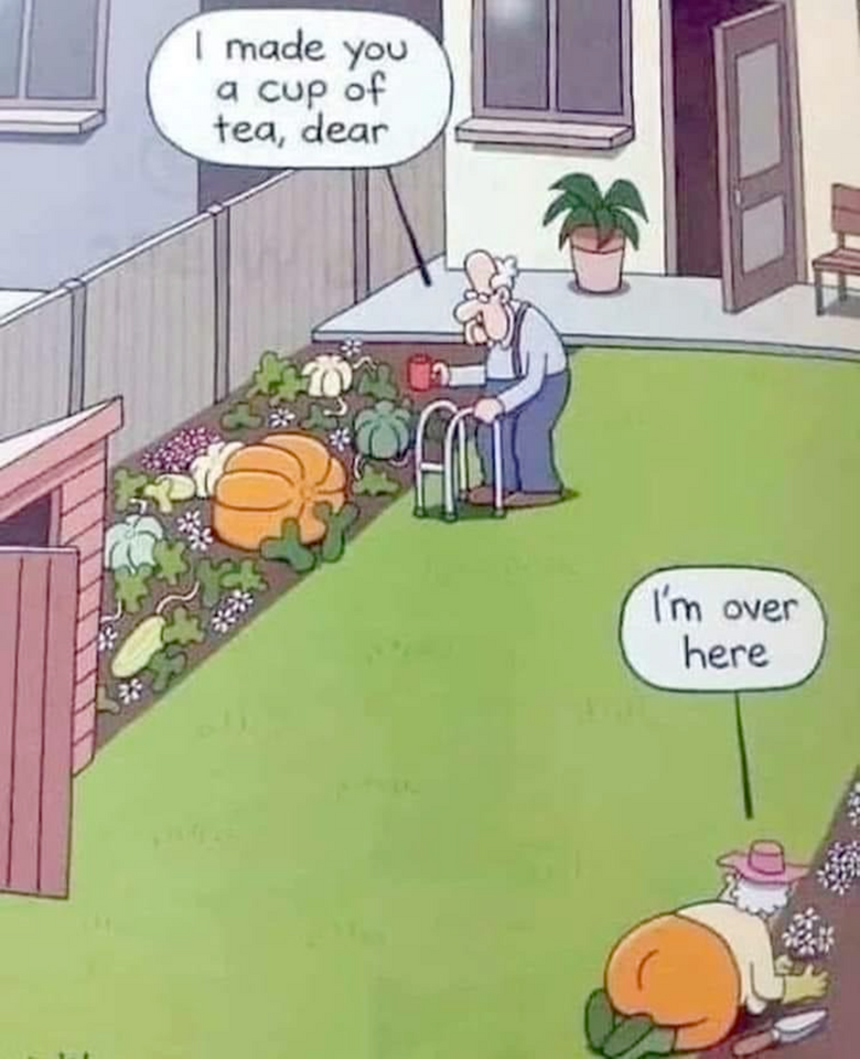 1716401804564.png