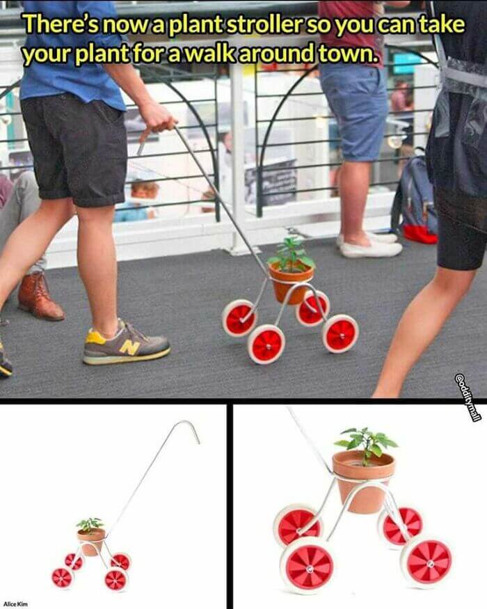 1716574417274.jpeg