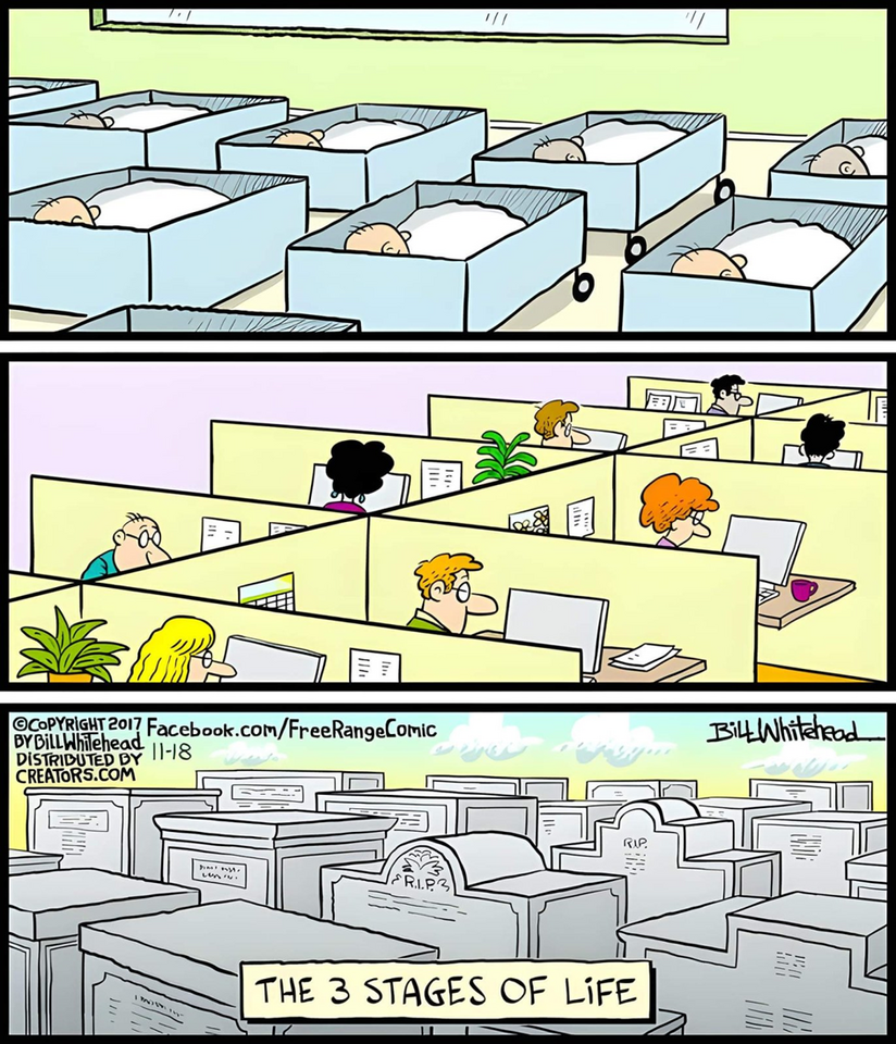 1720027489848.png