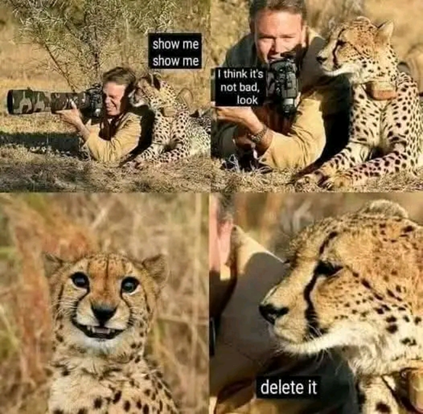 1736694427524.png