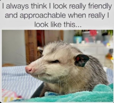 1738844210027.jpeg