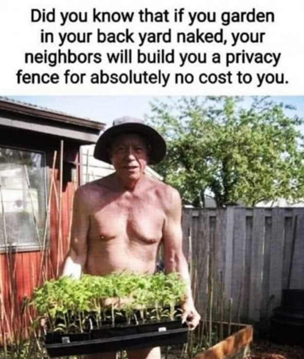 1740065659731.png