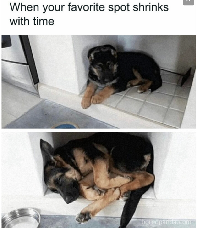 1740369298073.png