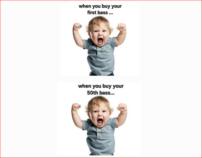 1740942242661.png
